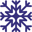Vector