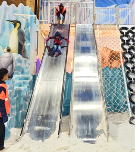 Arctic Slides