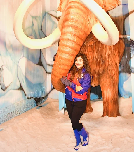 Wooly Mammoth