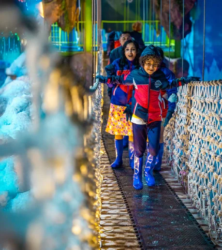 Snow Bridge