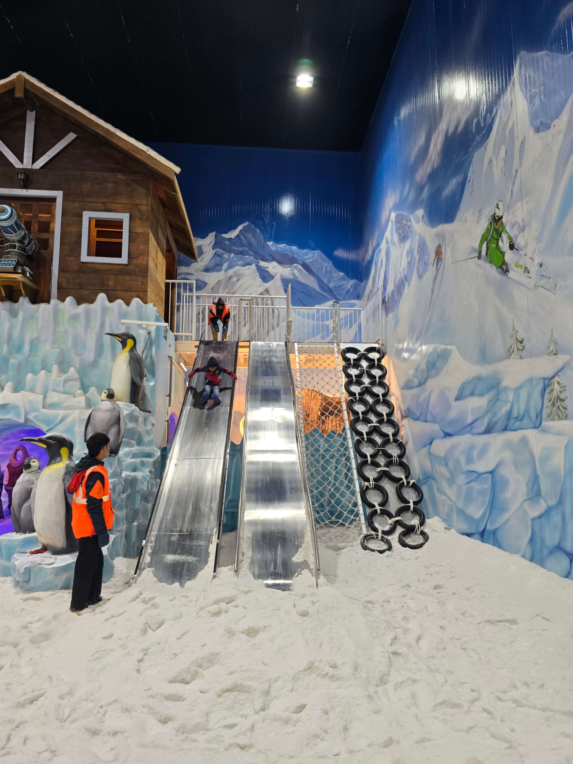 Arctic-Slide2.webp
