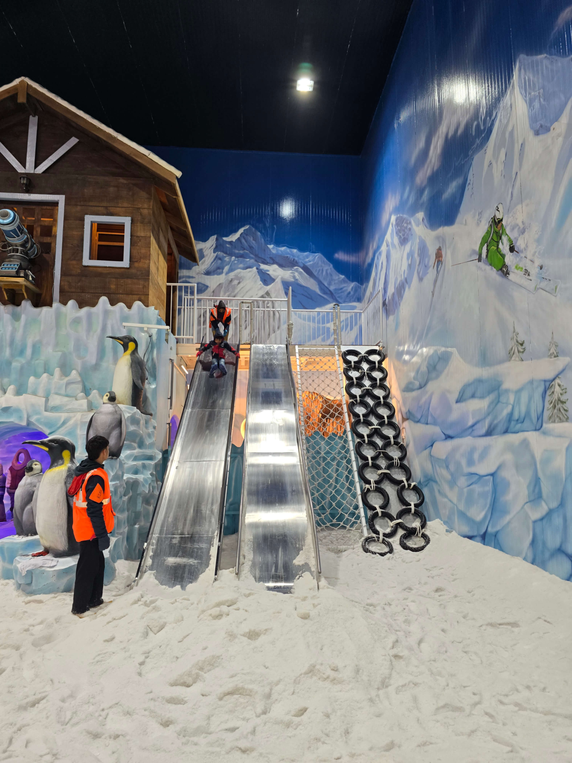 Arctic-Slides-1.webp