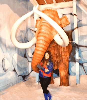 Wooly Mammoth-2